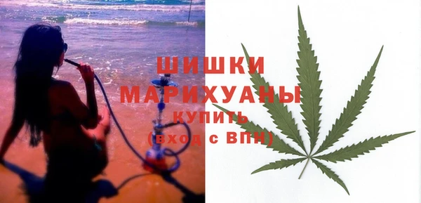 ПСИЛОЦИБИНОВЫЕ ГРИБЫ Абдулино