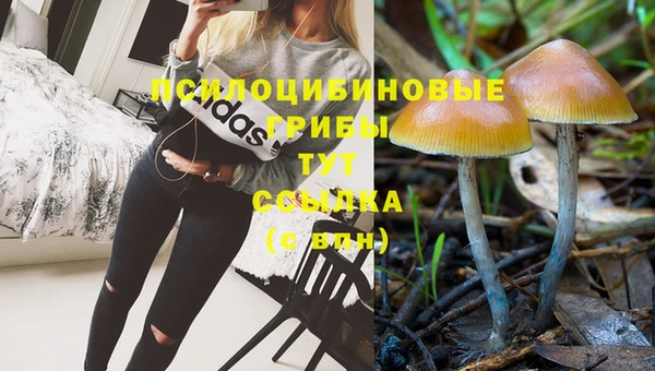 каннабис Абаза