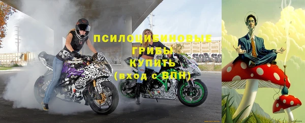 эйфоретик Абинск