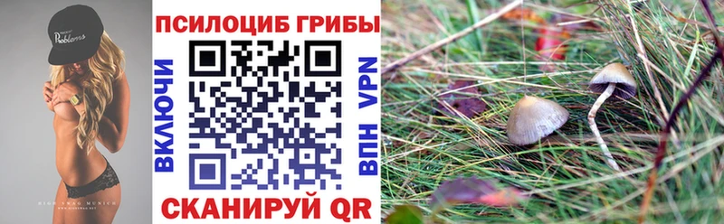 Псилоцибиновые грибы прущие грибы Шахунья